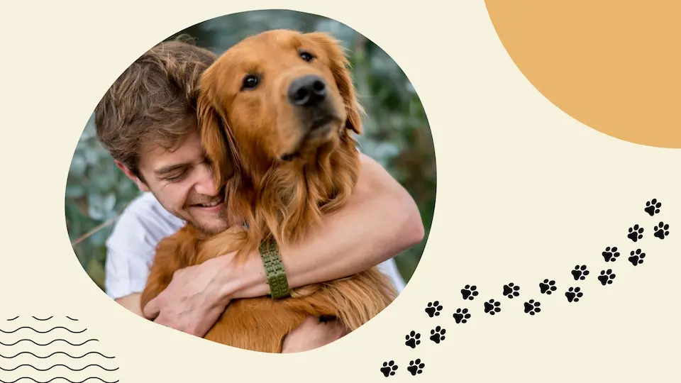 cityofdogs.net
