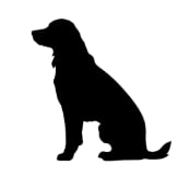cityofdogs.net